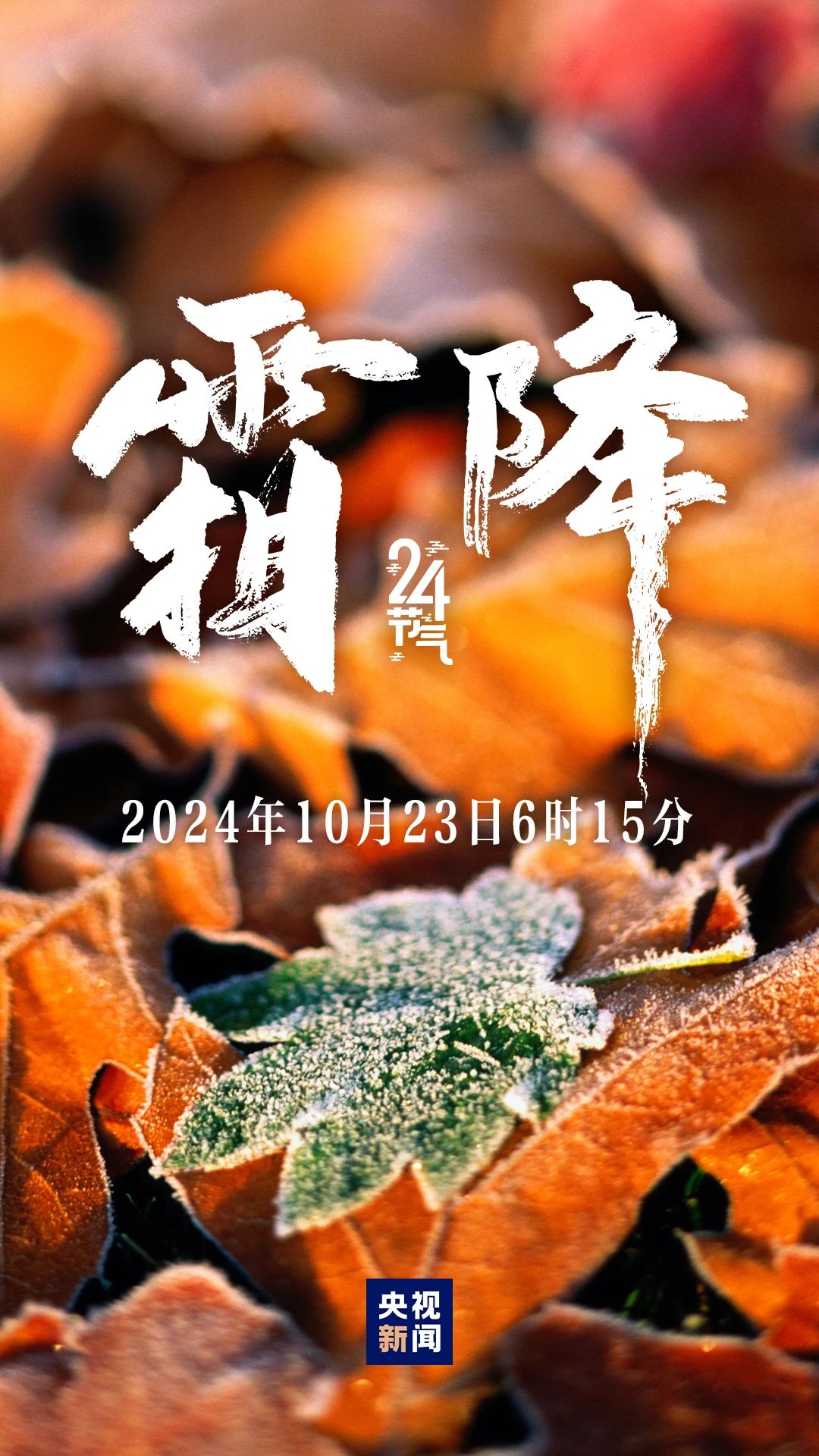 秋季最后一個節氣，來了